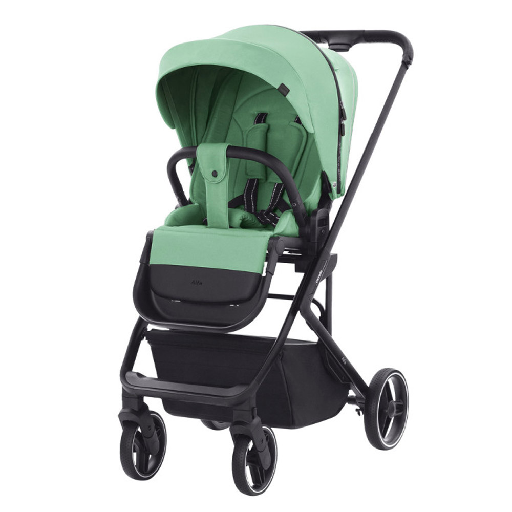 Детская коляска  CARRELLO  Alfa  CRL-5508 Pear Green